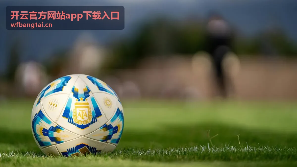 开云官方网站app下载入口密码强度检测入口示意