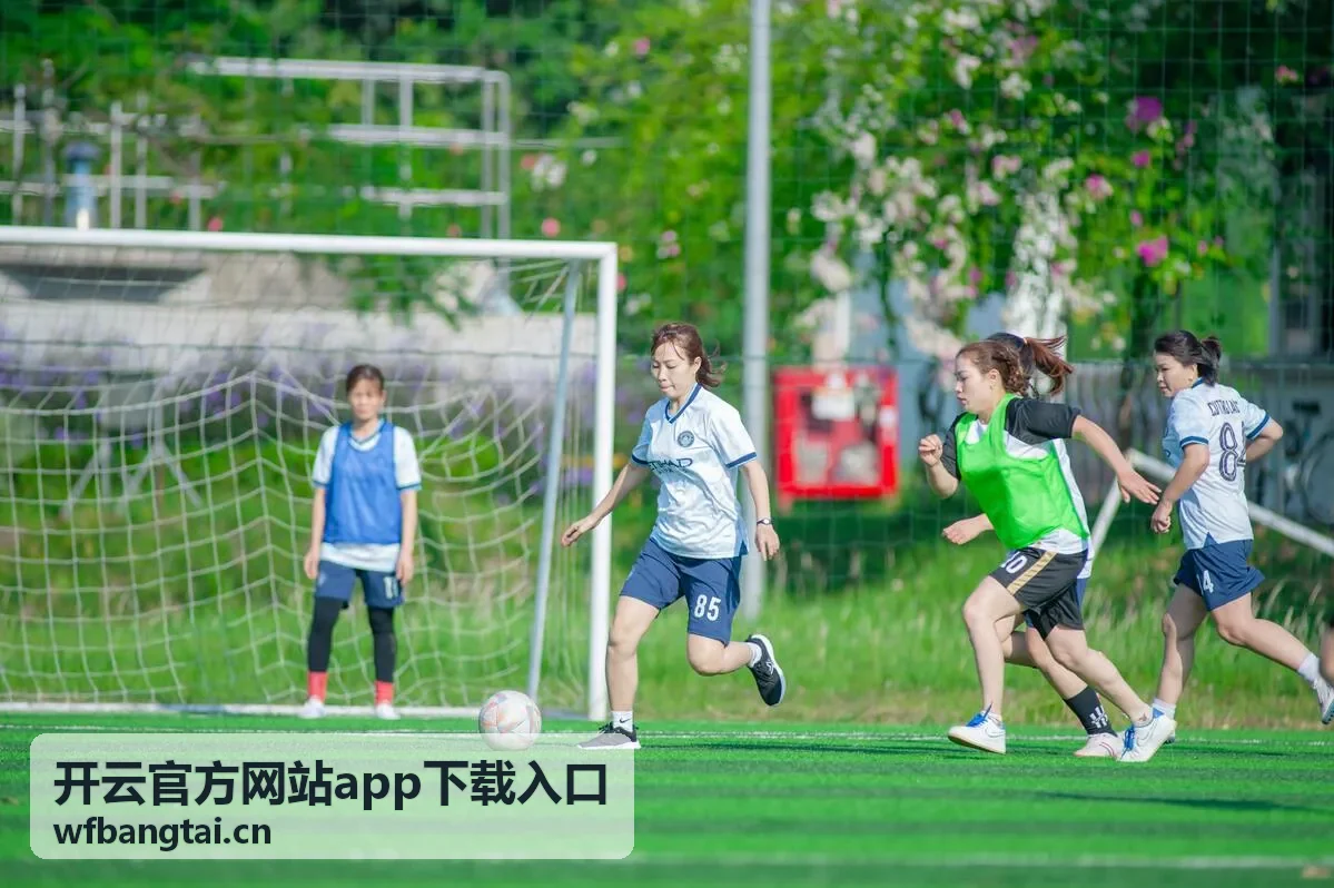 开云官方网站app下载入口多端同步版本说明图