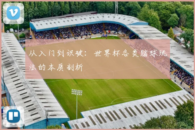 从入门到识破:世界杯各类赌球玩法的本质剖析