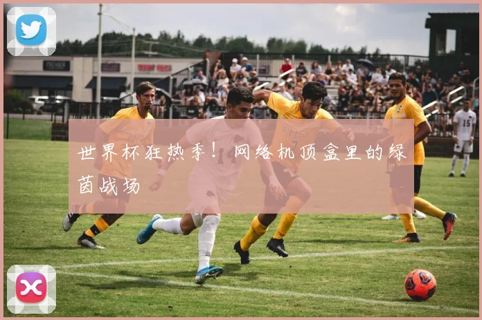 世界杯狂热季!网络机顶盒里的绿茵战场