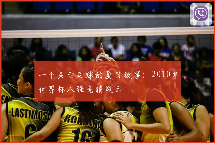 一个关于足球的夏日故事:2010年世界杯八强竞猜风云