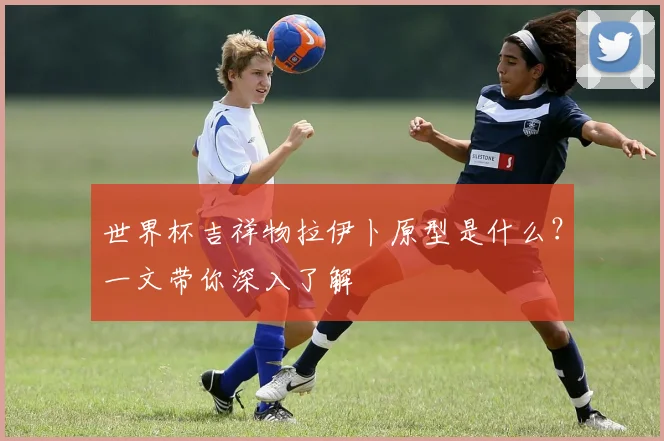 世界杯吉祥物拉伊卜原型是什么?一文带你深入了解