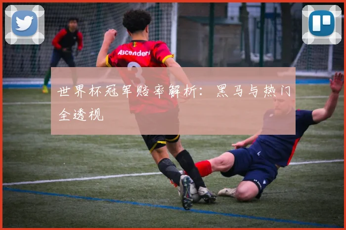 世界杯冠军赔率解析：黑马与热门全透视
